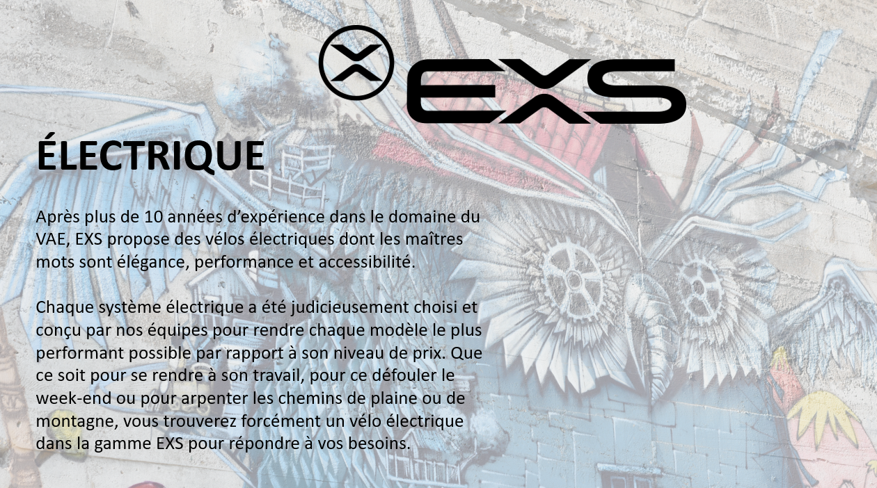 Velo electrique online exs chantenay